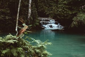 Praia ou cachoeira: rio com queda d'água verde em meio à mata próxima de uma praia.