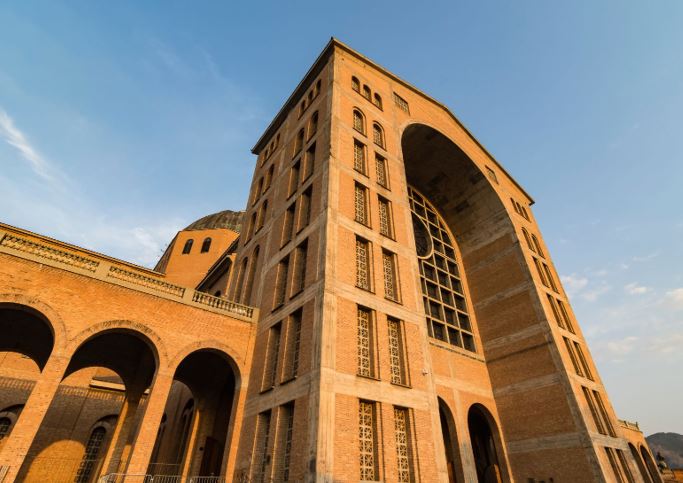 passaro marron aparecida sjk airport