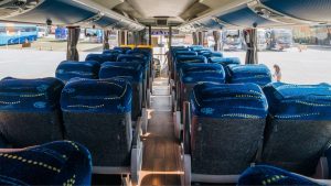 onibus passaro interno traseira