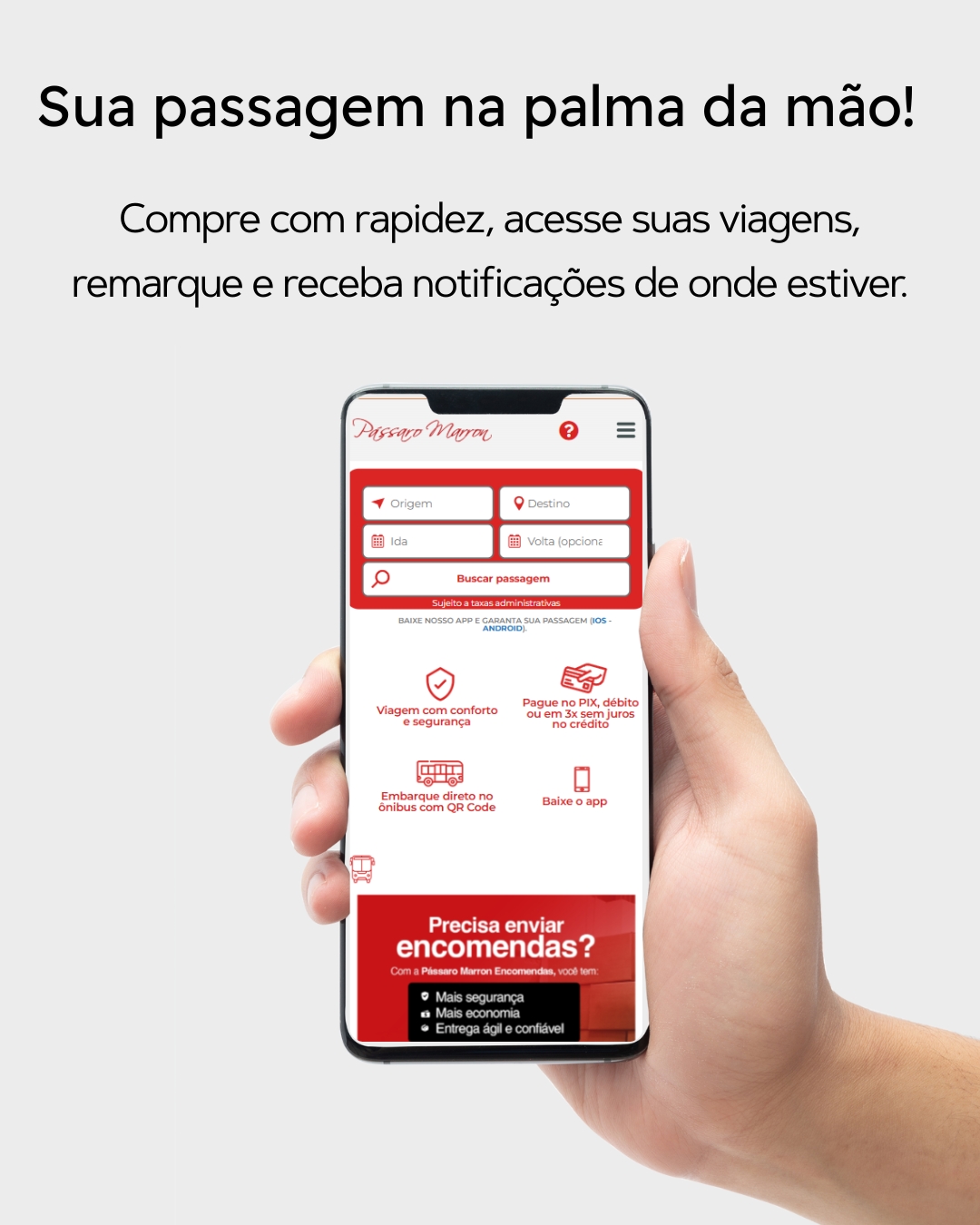 baixe nosso app passaro marron