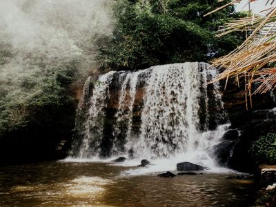 O que fazer em Taubaté: (x) lugares que você precisa conhecer - Pássaro Marron